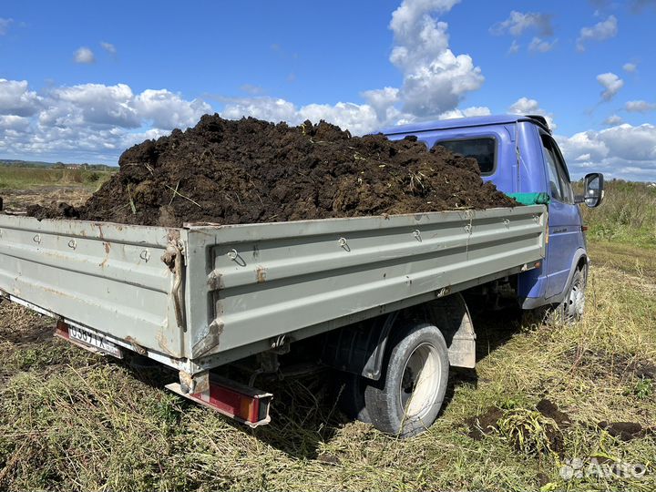 Навоз полежавший