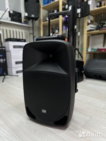 Акустическая система Leem PR-15HR