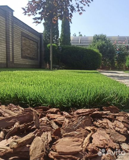 Рулонный газон