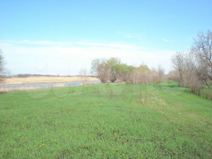 Участок 10 га (СНТ, ДНП)