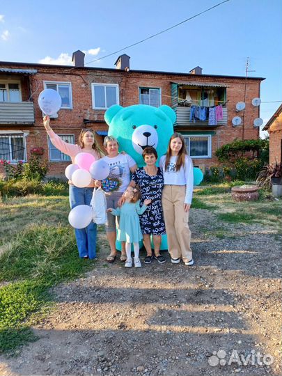 Поздравление от чебурашки