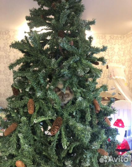 Елка искусственная 240 б/у