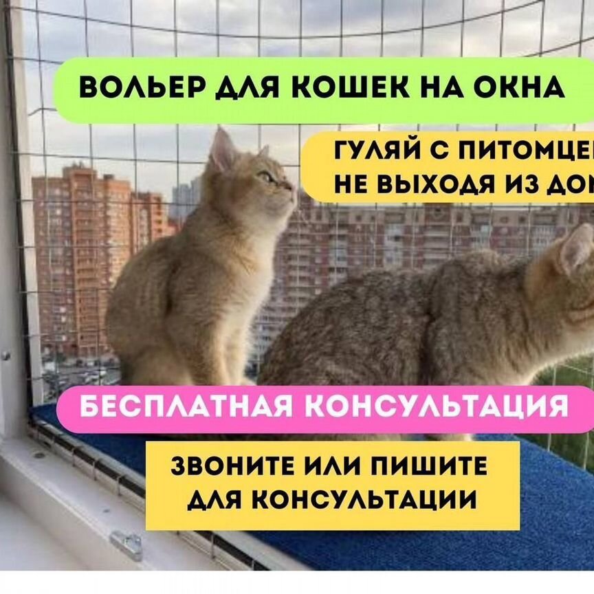 Балкончик для выгула кошки