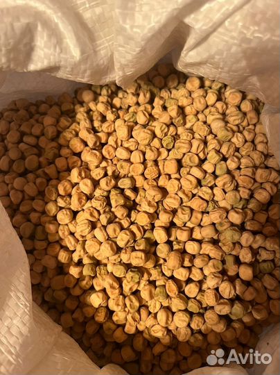 Семена горошка сладкого