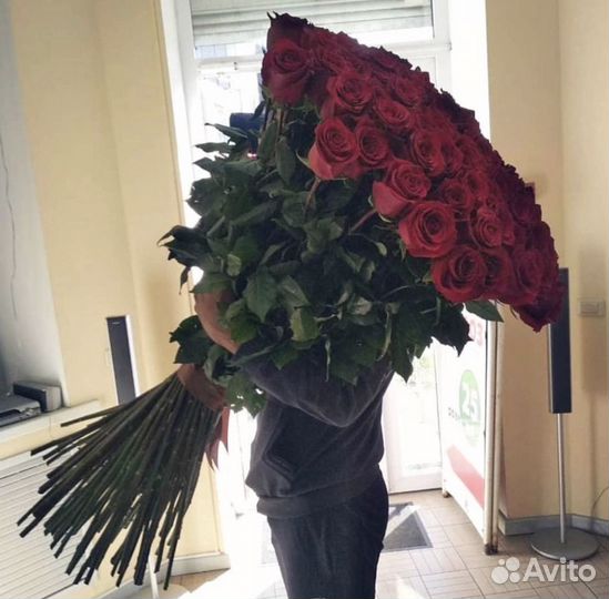 Высокие Розы 150 см, 160 см, 170 см, 180 см