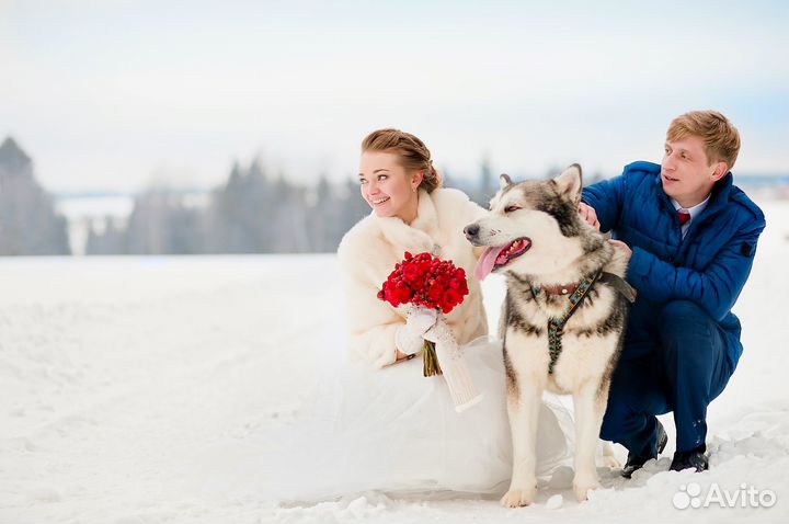 Фотограф на свадьбу и мероприятие