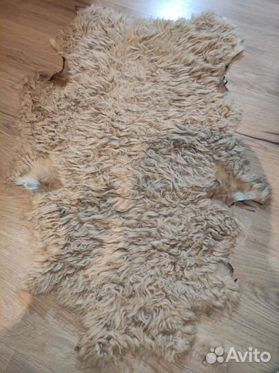 Шкуры овчины