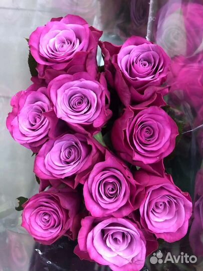 Цветы розы букет