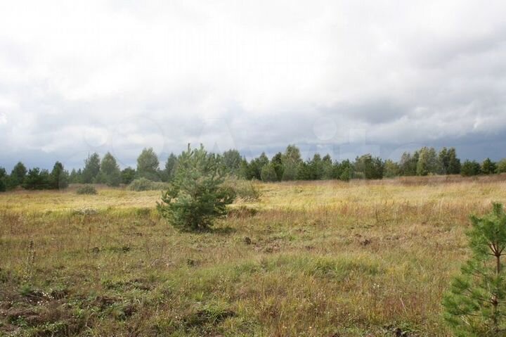 Участок 20,1 га (СНТ, ДНП)