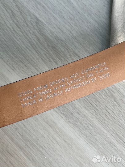 Ремень из крокодила Tardini (Тардини) оригинал