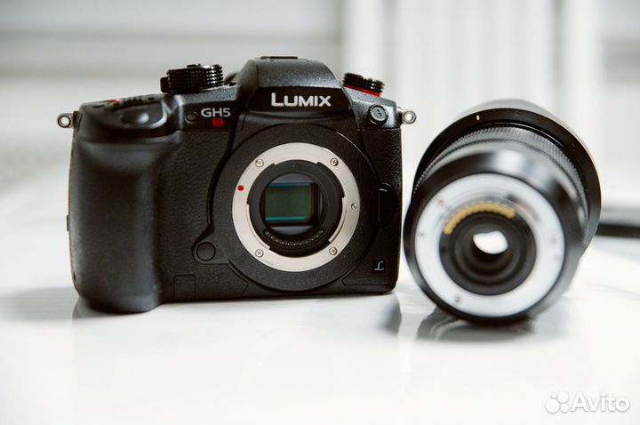 Panasonic lumix gh5s