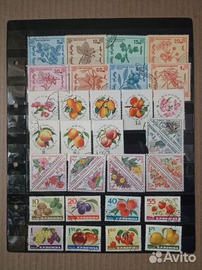 Набор марок 4