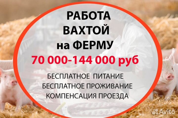 Вахта-работа с проживанием и питанием