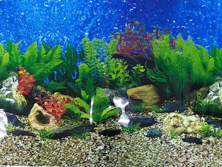 Задний фон для аквариума.двусторн.Аквариумы. Рыба