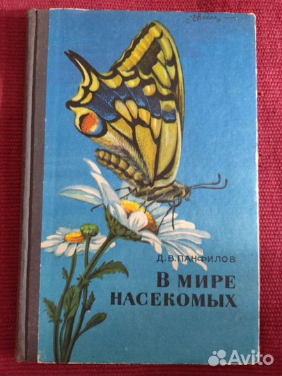 В мире насекомых