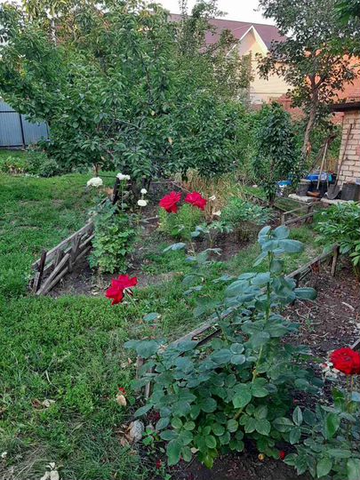 Дом 45,7 м² на участке 6,5 сот.