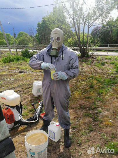 Обучение дезинфекции