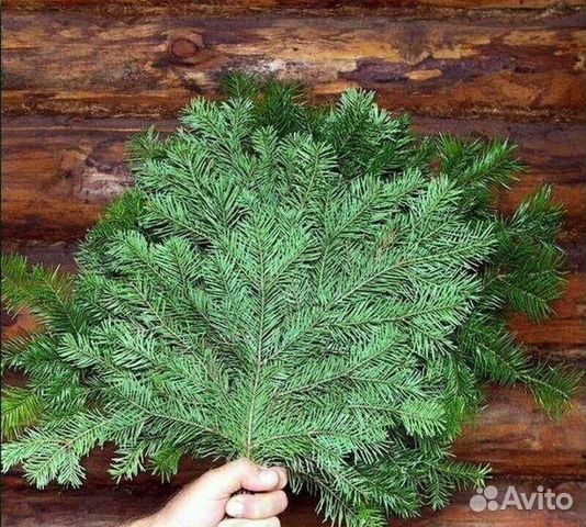 Пихтовые веники