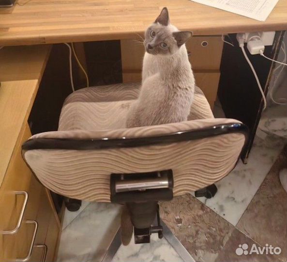 На поиск дома 12 часов