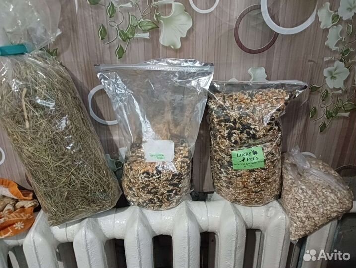 Клетка с белками дегу