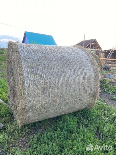 Продам сено в тюках