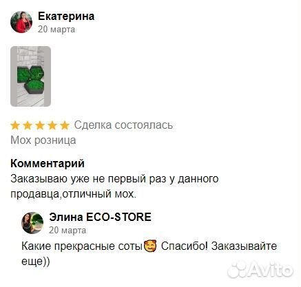 Стабилизированный мох. Ягель