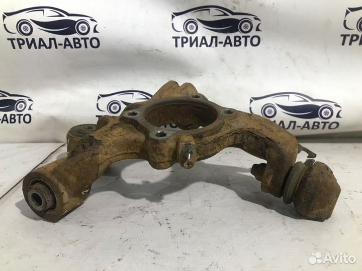 Цапфа Suzuki Grand Vitara 2 задняя левая