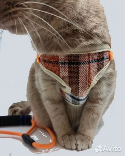 Шлейка для кошек и собак мелких пород