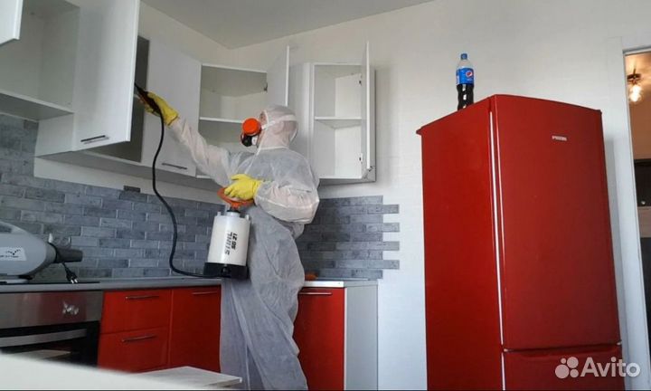 Обработка от тараканов