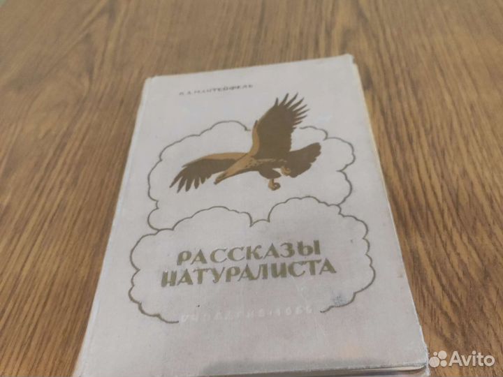 Рассказы Натуралиста, Мантейфель,Редкость