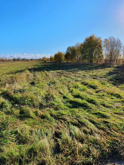 Участок 48 сот. (ИЖС)