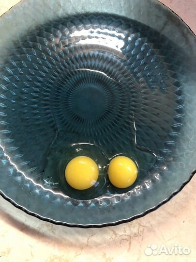 Яйца перепелиные инкубационные