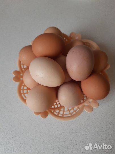 Домашние деревенские яйца