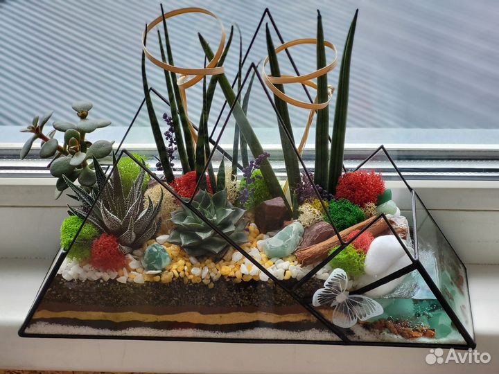 Живые суккуленты в вазе Композиция флорариум