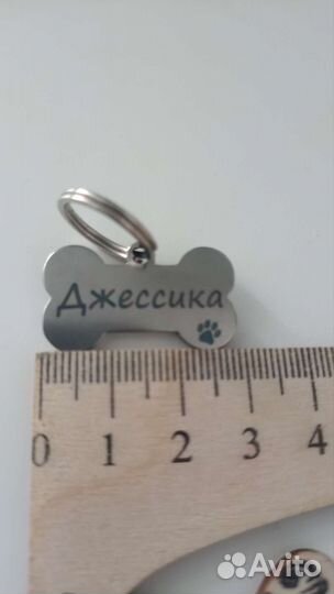 Адресник для собак и кошек