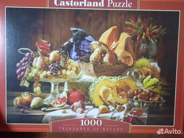 Пазлы Castorland