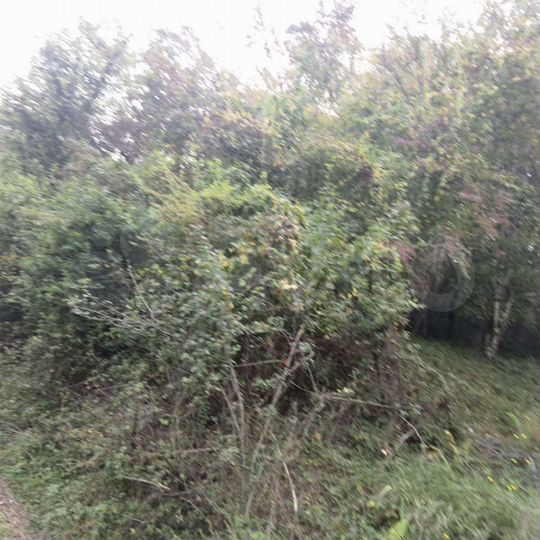 Участок 5 сот. (СНТ, ДНП)