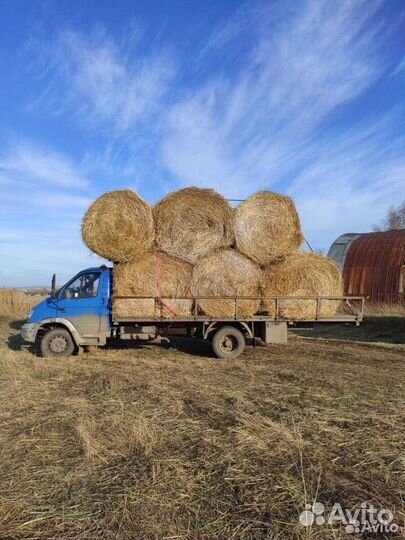 Солома в рулонах 2023 доставка