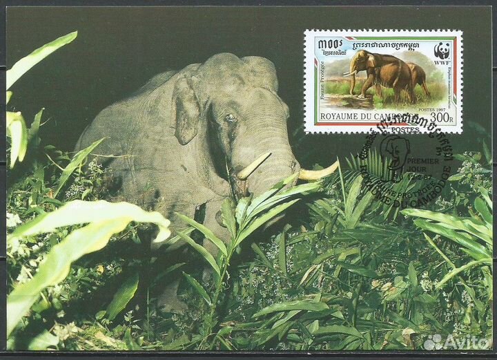 Картмаксимумы Камбоджи, Беларуси, Румынии