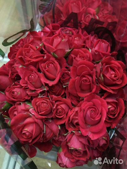 Роза кустовая малиновая в любом количестве