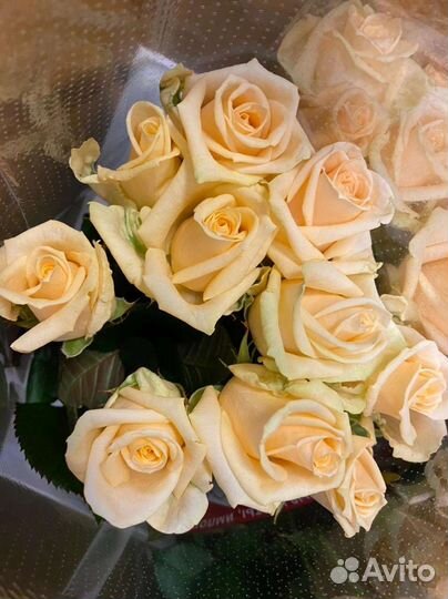 Цветы розы букет