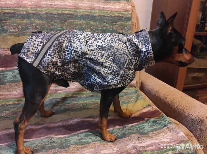 Одежда для собак, подстилки, шнурок