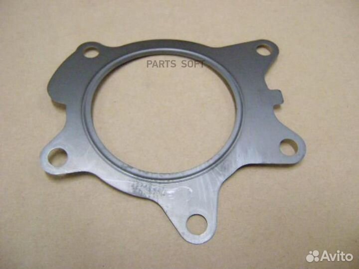 Great wall 1307012EG01 Прокладка водяного насоса