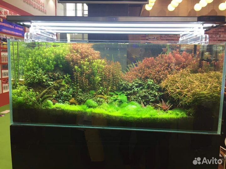 Оформление аквариумов,консультации,коряги