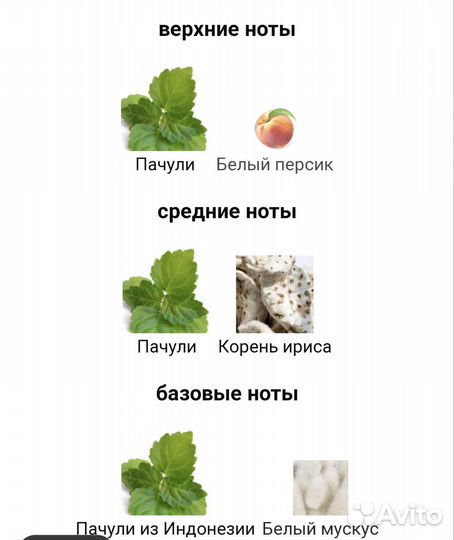 Bvlgari Splendida Patchouli Tentation