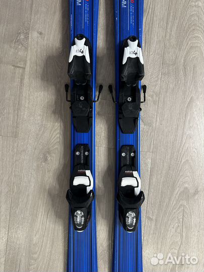 Горные лыжи 120