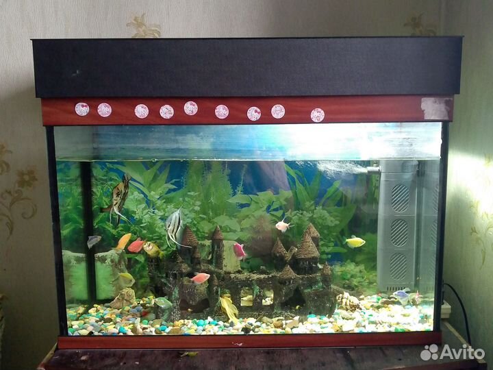 Аквариум
