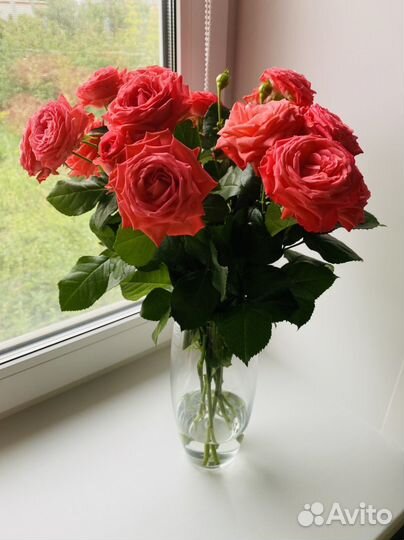 Ваза для цветов икеа новая