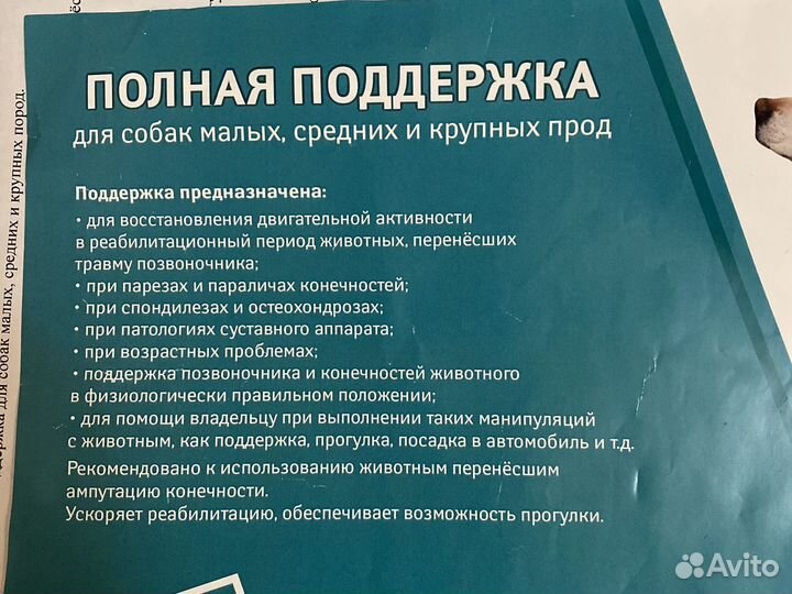 Полная поддержка для собак