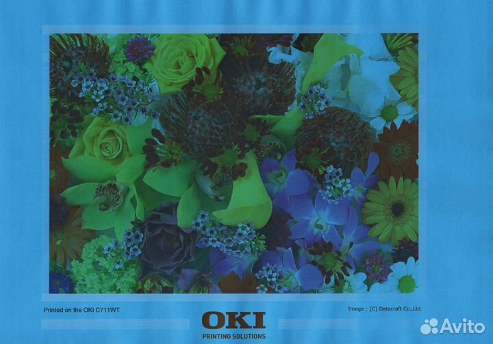 Принтер OKI C711WT